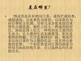 小学六年级下册美术 第3课图片蒙太奇-冀美版(62张)ppt课件
