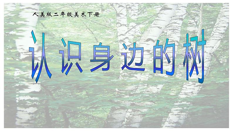 小学美术 《第3课认识身边的树》人美版(59张PPT)ppt课件第2页