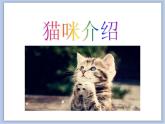 浙美版小学美术二年级下册 17《可爱的猫咪》课件