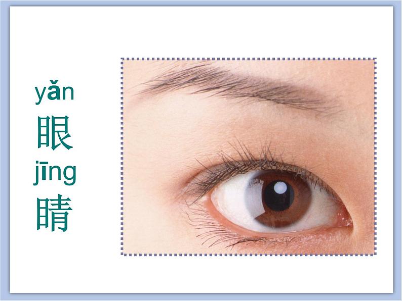 浙美版小学三年级下册9《眼睛的创想》课件04