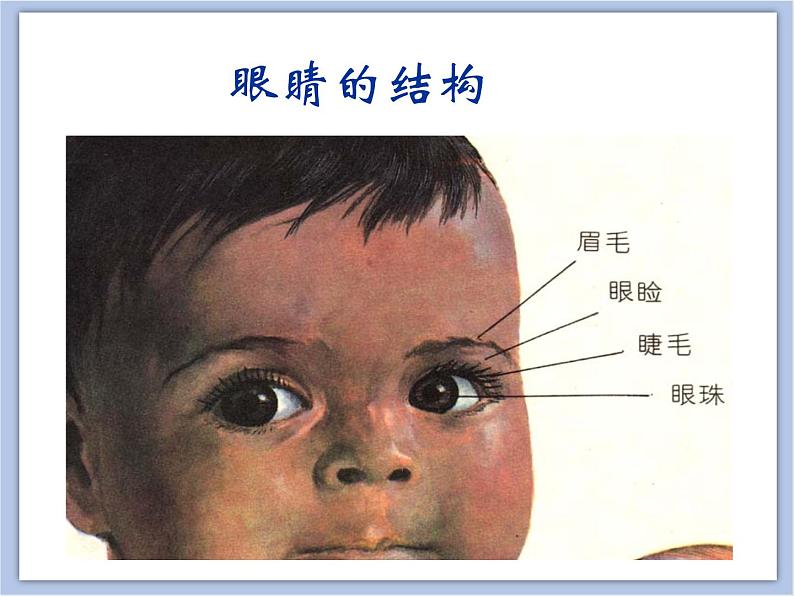 浙美版小学三年级下册9《眼睛的创想》课件07