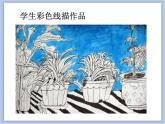 浙教版美术五年级下册11《植物写生》课件