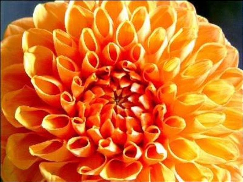 2021小学美术第6课人教版美术四年级下册《色彩的渐变》课件04