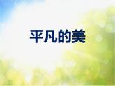 2021小學(xué)美術(shù)第12課《平凡的美》課件
