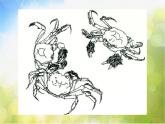 2021小學(xué)美術(shù)第12課《平凡的美》課件