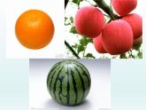 美術(shù)一年級(jí)上冊(cè)人美版 第3課 圓的世界(13)（課件）