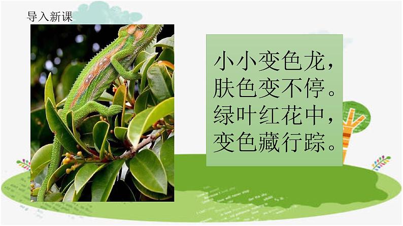 湘美版小学美术一年级下册《变色龙》课件+教案04