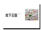 湘美版小學(xué)美術(shù)一年級(jí)下冊(cè)《地下王國(guó)》課件+教案