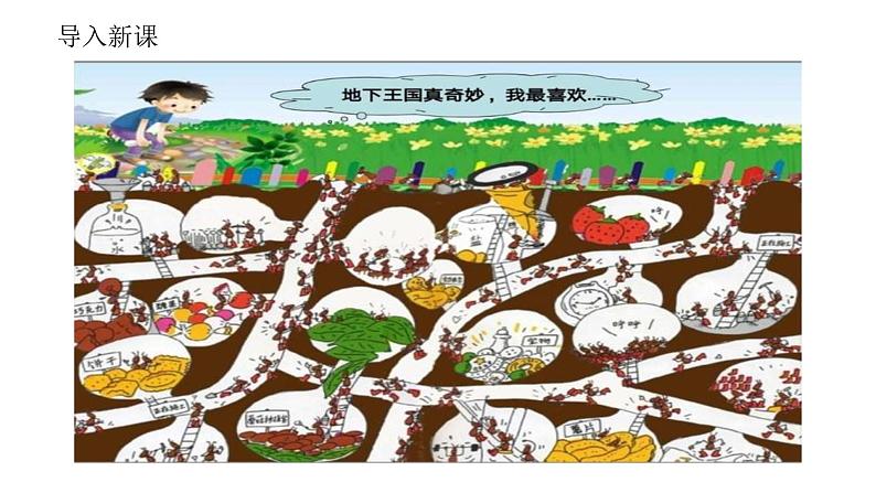 湘美版小学美术一年级下册《地下王国》课件+教案04