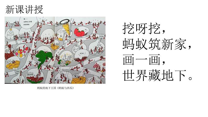 湘美版小学美术一年级下册《地下王国》课件+教案05