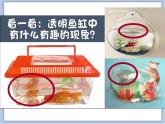 沪教版美术二下4.1色彩的搭配 优秀课件PPT