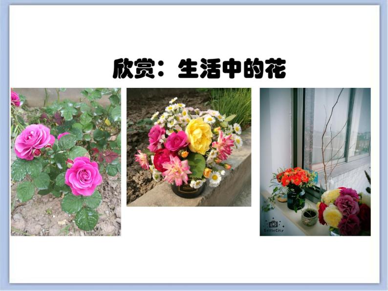 沪教版美术三下4.2花儿朵朵 优秀课件PPT02