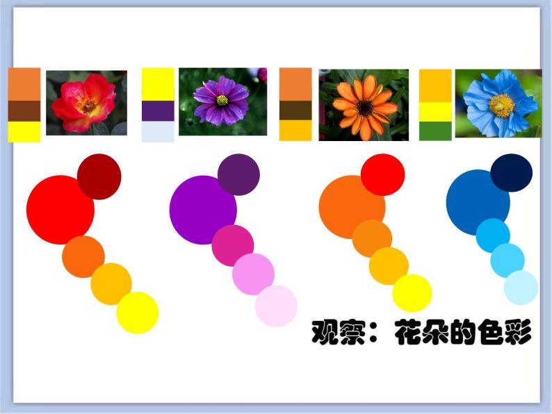 沪教版美术三下4.2花儿朵朵 优秀课件PPT07