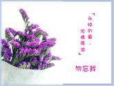 沪教版美术三下4.3点出来的花 优秀课件PPT