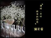 沪教版美术三下4.3点出来的花 优秀课件PPT