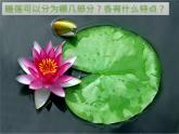 沪教版美术三下6.3有趣的池塘 优秀课件PPT