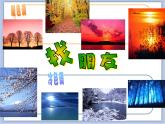 沪教版美术五下2.2丰富的色彩 优秀课件PPT
