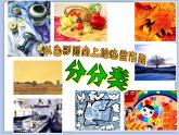沪教版美术五下2.2丰富的色彩 优秀课件PPT