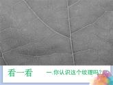 沪教版美术五下3.2实物版画 优秀课件PPT