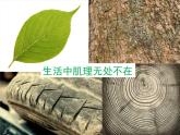 沪教版美术五下3.2实物版画 优秀课件PPT