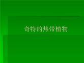 小學(xué)美術(shù)課件-5.14奇特的熱帶植物嶺南版(9張PPT)ppt課件