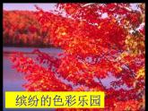 小學(xué)三年級(jí)上冊(cè)美術(shù)課件-3.5繽紛的色彩樂園-嶺南版(16張)ppt課件