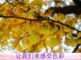 小學(xué)三年級(jí)上冊(cè)美術(shù)課件-3.5繽紛的色彩樂園-嶺南版(16張)ppt課件