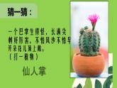 小學三年級上冊美術課件-5.14奇特的熱帶植物-嶺南版(17張)ppt課件