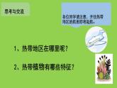 小學三年級上冊美術課件-5.14奇特的熱帶植物-嶺南版(17張)ppt課件
