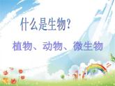 小學三年級上冊美術(shù)課件-6.18奇妙的建筑-嶺南版(13張)ppt課件