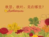 小學(xué)三年級下冊美術(shù)課件-5.15秋天的落葉-嶺南版(10張)(1)ppt課件