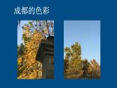 小學(xué)美術(shù)課件-第7課黃色的和藍(lán)色的畫(huà)-人美版(8張PPT)ppt課件