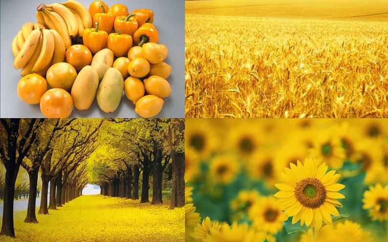 小学美术课件-第7课黄色的和蓝色的画-人美版(19张PPT)ppt课件第5页