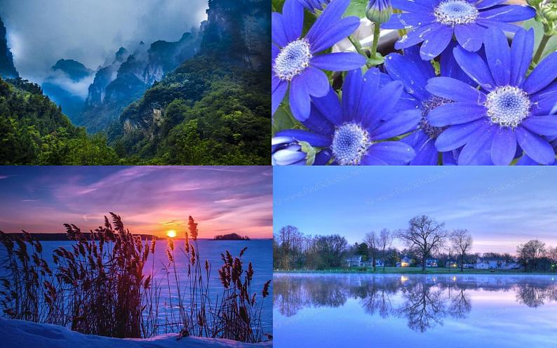 小学美术课件-第7课黄色的和蓝色的画-人美版(19张PPT)ppt课件第6页