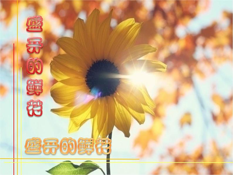 盛开的鲜花PPT课件免费下载01