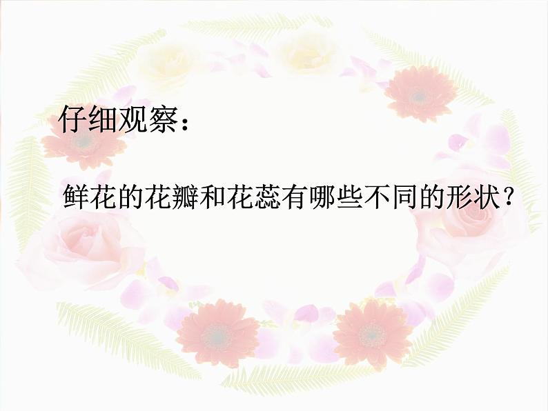 盛开的鲜花PPT课件免费下载08