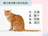 二年级美术下册第17课可爱的猫咪课件1浙美版