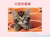 可爱的猫咪PPT课件免费下载