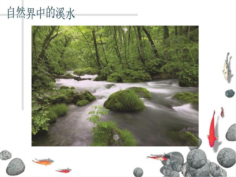 潺潺的小溪水PPT课件免费下载08