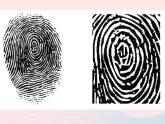 二年級(jí)美術(shù)下冊(cè)第3課美妙多變的線條課件1嶺南版