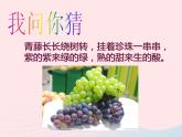 二年級(jí)美術(shù)下冊(cè)第6課水果大聚會(huì)課件2嶺南版