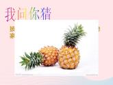 二年級(jí)美術(shù)下冊(cè)第6課水果大聚會(huì)課件2嶺南版