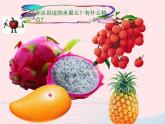 二年級(jí)美術(shù)下冊(cè)第6課水果大聚會(huì)課件4嶺南版