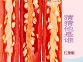 二年級美術(shù)下冊第7課切開的果實(shí)課件2嶺南版