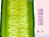 二年級美術(shù)下冊第7課切開的果實(shí)課件2嶺南版