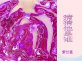 二年級美術(shù)下冊第7課切開的果實(shí)課件2嶺南版