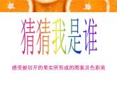 二年級美術(shù)下冊第7課切開的果實(shí)課件4嶺南