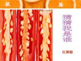 二年級美術(shù)下冊第7課切開的果實(shí)課件4嶺南