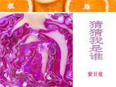 二年級美術(shù)下冊第7課切開的果實(shí)課件4嶺南
