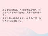 湘美版美术二年级下册：《小老虎》课件